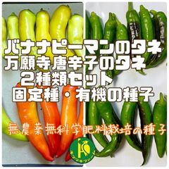 バナナピーマンのタネと万願寺唐辛子のタネ　各20粒　固定種・無農薬無化学肥料栽培の種子