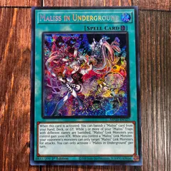 2025年最新】遊戯王 プリシク まとめの人気アイテム - メルカリ