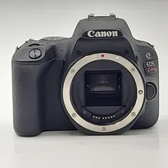 売切りたいのでお値下げ⭕五助ママ Canon EOS kiss x9 レンズ 売切りたいのでお値下げ⭕五助ママ Canon EOS kiss x9 レンズ
