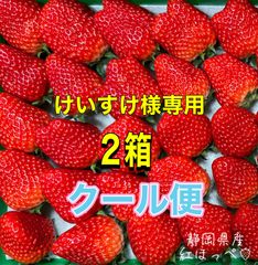 【二箱】大粒〜中粒 紅ほっぺ いちご 🍓 〜農家直送〜