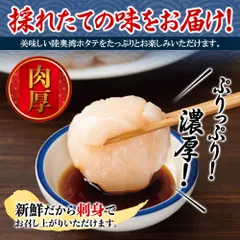 2024年最新】ホタテカレーの人気アイテム - メルカリ