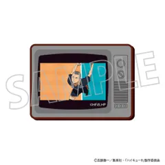 【新品・公式】ハイキュー!! TV型マグネット／田中龍之介 公式グッズ colleize コレイズ