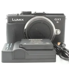 2024年最新】lumix gx1の人気アイテム - メルカリ