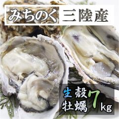 生食OK 7kg 三陸産 殻付き生牡蠣 新鮮 宮城 岩手 鉄分 ミネラル豊富