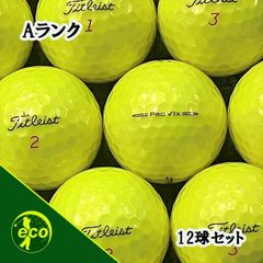 ロストボール タイトリスト Titleist PRO V1x 2025年 イエロー 12球 【Aランク】 ゴルフボール