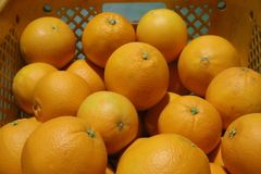 家庭用　食べ比べセット✨　9〜9.5kg ポンカン&ネーブルオレンジ