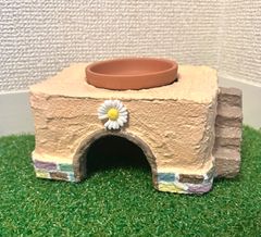 爬虫類　シェルター　お花