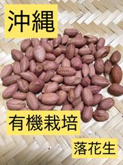 【沖縄　無農薬　有機栽培】落花生　種　10個入り