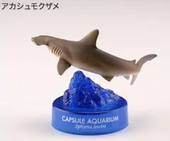 2025年最新】日本水族館立体生物図録の人気アイテム - メルカリ