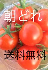 懐古トマト～赤い恋人～正品2kg箱‼️ミニトマト - メルカリ