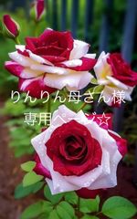りんりん母さん様専用ページです☆