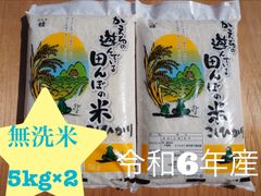 千葉県産　コシヒカリ　無洗米　10kg