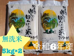 千葉県産　コシヒカリ　無洗米　10kg