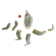 X-PLUS レッドキング マーミット ギガス マーミット ドラコ 2025年最新