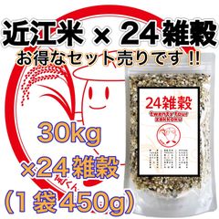 令和5年収穫】近江のお米 30kg（10kg×3本）-