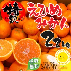 みかんさん、専用です。 ④数量限定!和歌山県田辺産 せとか オレンジ みかん 蜜柑 柑橘