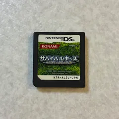 動作確認済 サバイバルキッズ LOST in BLUE 2 ニンテンドーDS
