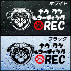【Sサイズ1枚】パグ　面白 ドライブレコーダーステッカー