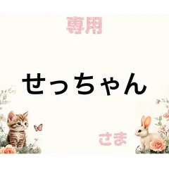 専用