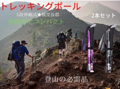 登山スティック　紫　黒　2本セット　ハイキング　ジュラルミン　杖　登山
