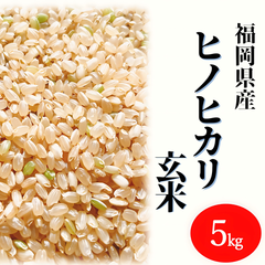 ヒノヒカリ 5kg 玄米 お米 6年産