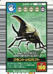 極美品　ムシキング　ヒメカブト　グラントシロカブト　コロコロ　てれびくん 極美品 ムシキング ヒメカブト グラントシロカブト コロコロ てれび