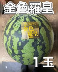 大分県産🟡金色羅皇🟡１玉　クリームスイカよりも濃い黄色
