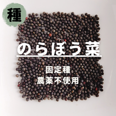 【種】のらぼう菜　農薬不使用　200粒