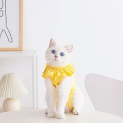 Item thumbnail for item e950d14c-bb13-47f8-98ee-30fb36301748