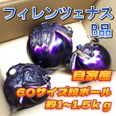 A-STYLEヴィオレッタ・ディ・フィレンツェナス自家産A品B品MIX60サイズショップアカウントではゆうゆうメルカリ便で送れないため沖縄への発送は出来かねます、個人アカウントよりご購入頂けましたら発送可能です、そちらよりよろしくお願いいたします
