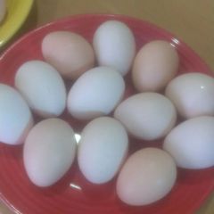 烏骨鶏卵（１２個）