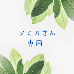 ソミカさん　専用（メルカリ便に変更）