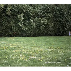 2026年最新】ghosts ミツメの人気アイテム - メルカリ