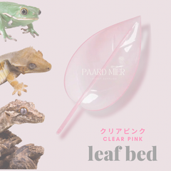 リーフベッド 葉っぱベッド【クリアピンク】  爬虫類・両生類用