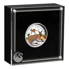 オーストラリア　カンガルー　プルーフ　銀貨　2001　1オンス　証明書　箱付き 63964