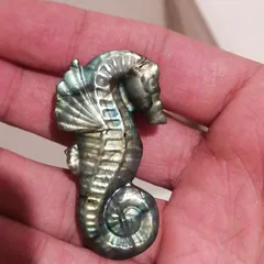 ポンポン様9【1983】タツノオトシゴ カルサイト？