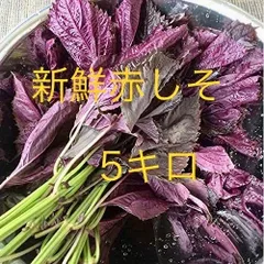 群馬県産　新鮮赤しそ　5キロ 群馬県産 新鮮赤しそ 5キロ - メルカリ