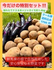 今朝採れたてプリプリのナス8本とじゃがいもセット‼️なっちゃん野菜
