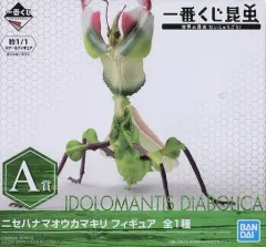 一番くじ昆虫　ハナマオウカマキリフィギュア　バイオリンムシキーチェーン 一番くじのニセハナマオウカマキリのフィギュアを開封するよ