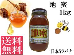 地蜜(日本ミツバチ)1kg 非加熱 生はちみつ 国産 純粋 送料無料