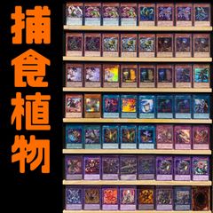大会向け 捕食植物 構築済みデッキ 遊戯王 プレデタープランツ