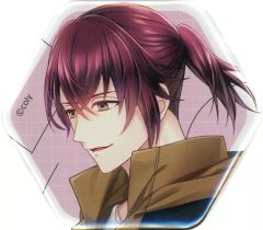 スタンドマイヒーローズ 缶バッジ STORIES OF HEROES 大谷羽鳥 - メルカリ