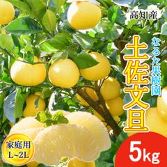 文旦 土佐文旦 家庭用 5kg L～2Lサイズ 10～13玉 なるた果樹園 宿毛 ぶんたん 宿毛市 産地直送 高知産 5キロ 果物 柑橘 宅急便