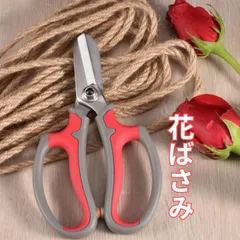 生花 生け花 剪定バサミ ハサミ はさみ 剪定鋏 盆栽 フラワーアレンジのサムネイル