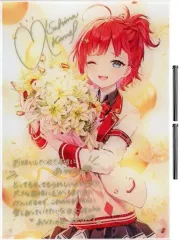 朝日南アカネ 複製直筆サイン・メッセージ入りアクリルパネル 2026年最新】朝日南アカネ 誕生日の人気アイテム - メルカリ
