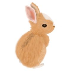 幸湖畔のうさぎ