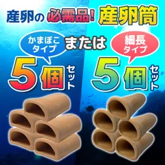 2025年最新】洞窟流木の人気アイテム - メルカリ 2025年最新】洞窟流木の人気アイテム - メルカリ