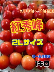 ラスト1キロ   予約販売　北海道産　さくらんぼ　紅秀峰　2Lサイズ　1キロ