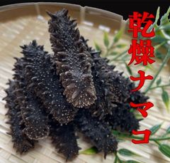 超棘棘！【Comura bultyncki】三葉虫 化石標本☆trilobite - メルカリ