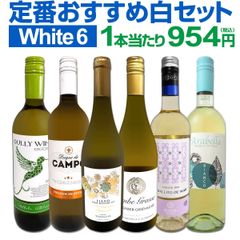 白ワイン 6本 セット 第221弾 当店厳選 採算度外視の謝恩企画